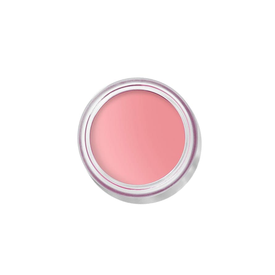 Pot Rouge Velvet Matte Petal Pink