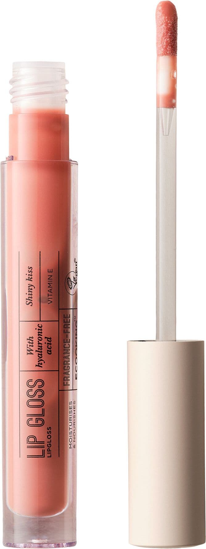 Lip Gloss 01 Blush Nude