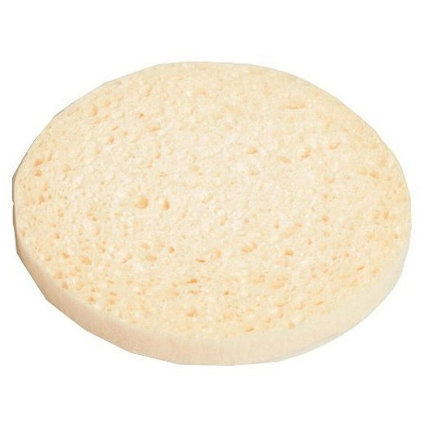 Sponge Cellulose
