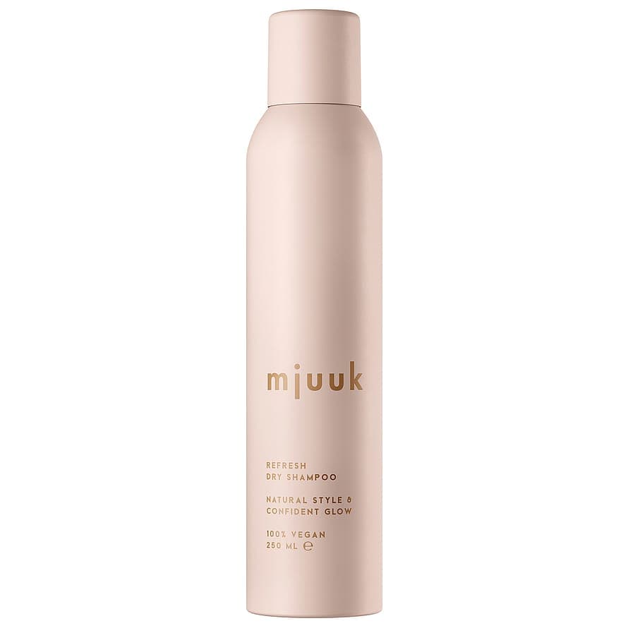 Dry Shampoo 250 ml