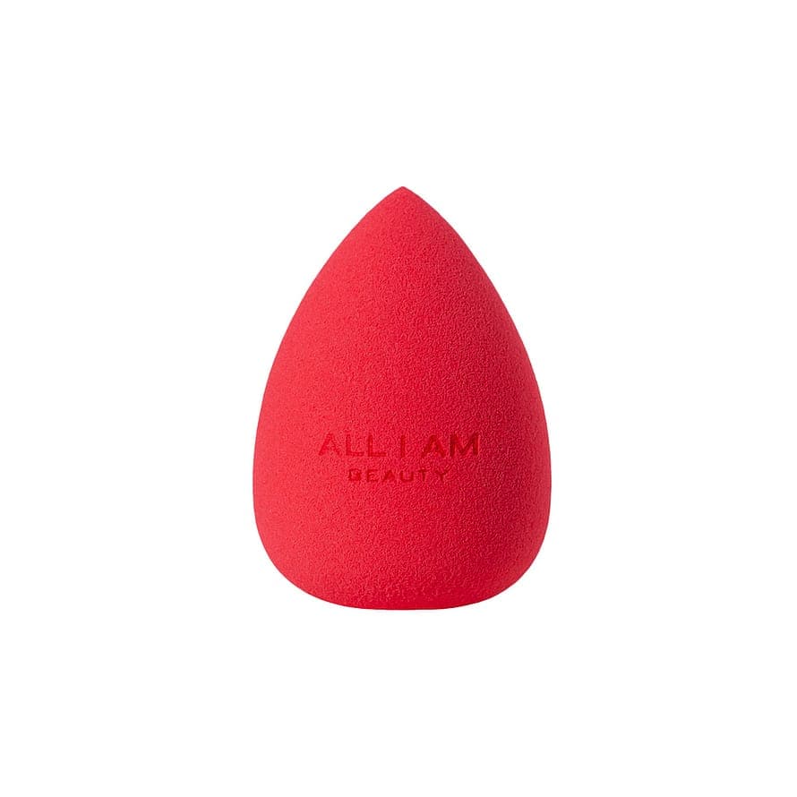 Blending Sponge
