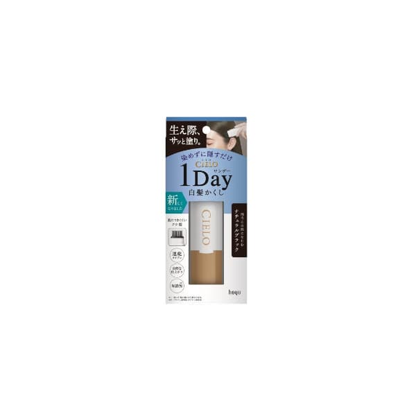 hoyu - Cielo 1 Day Cover Gray Hair Color Comb - 9ml - Natural Black