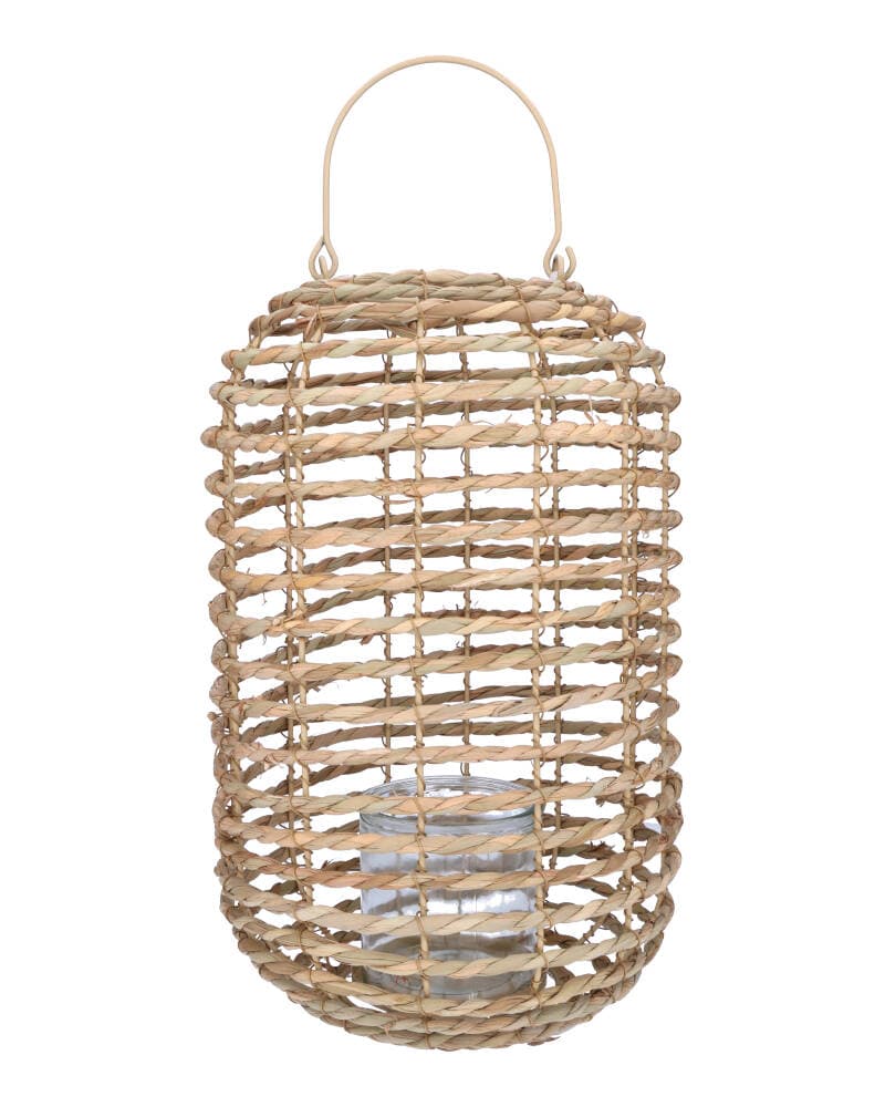 Lantern Natural Cattail 27X37C 1 stk.