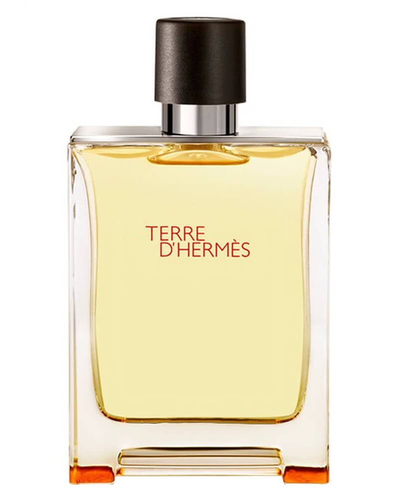 Hermes Terre d"'Hermes EDT 100 ml