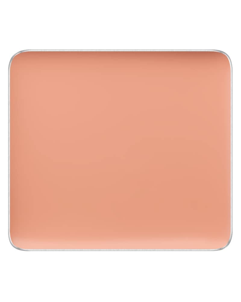 Inglot Freedom System Camouflage Concealer 123 2 g